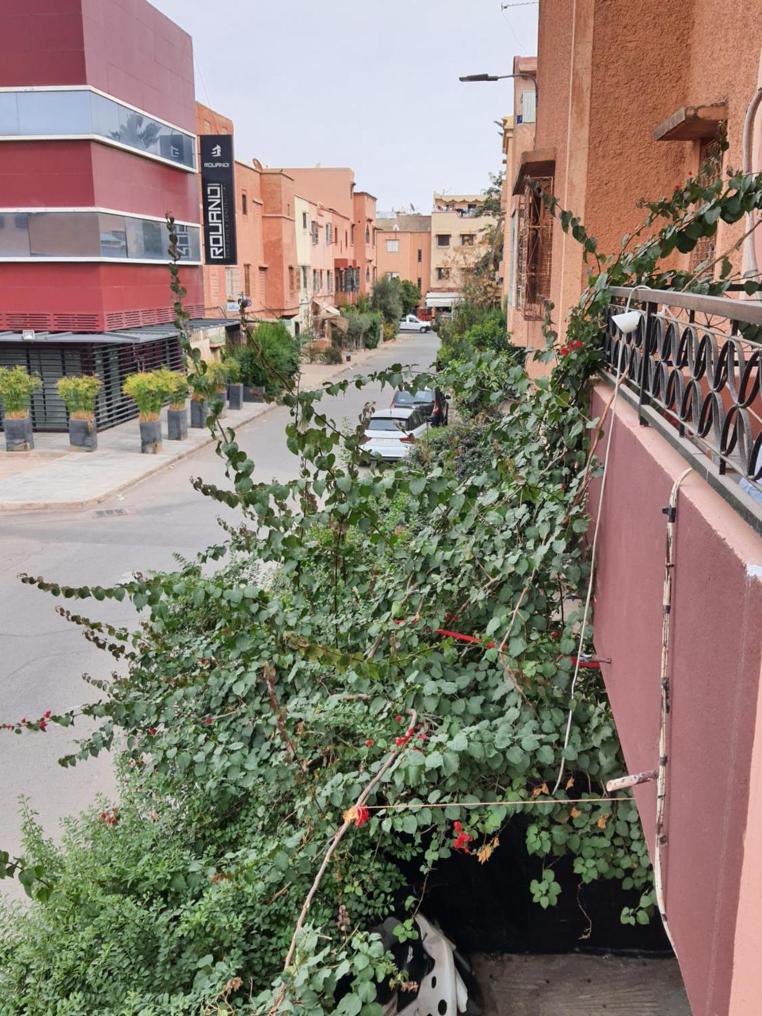 Marrakech Plus Marrakesh Esterno foto